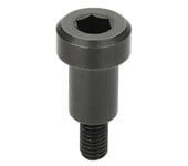 Bearing Shaft Screws