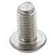 Tamper Resistant Screw