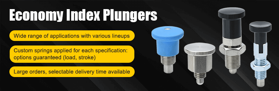 Economy Index Plungers